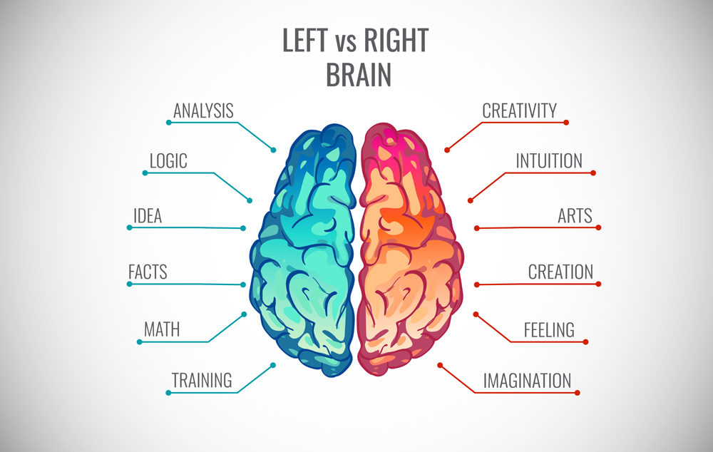 Left and right human brain concept. Creative part and logic part with social and business infographics vector illustration