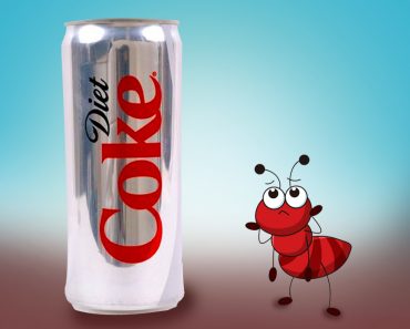 Ants Like Diet Soda
