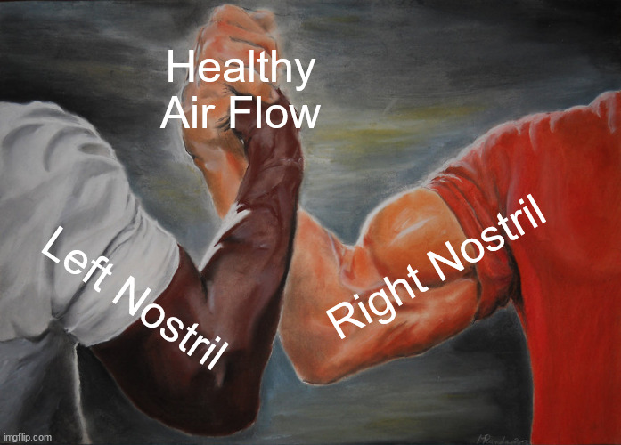 Healthy Air Flow; Right Nostril; Left Nostril
