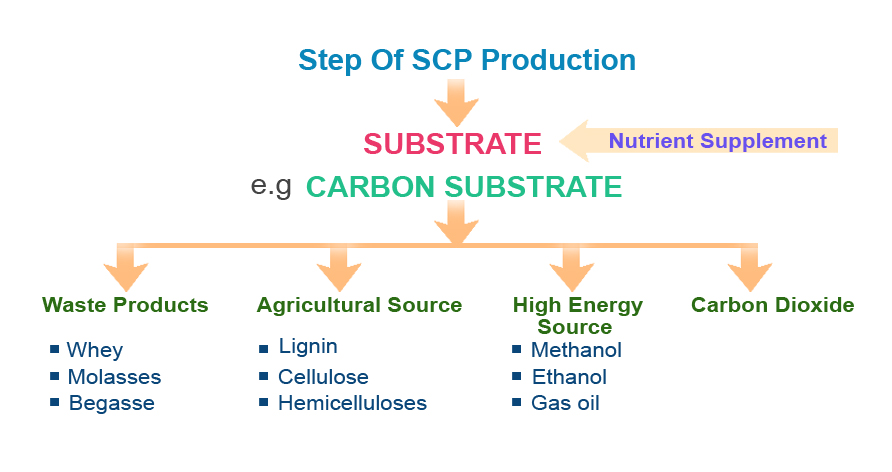 The main types of substrates used for SCP production are wastes, agricultural products as well as petroleum by-products.