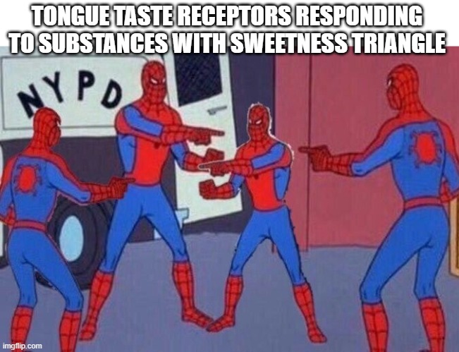 TONGUE TASTE RECEPTORS RESPONDING TO SUBSTANCES WITH SWEETNESS TRIANGLE