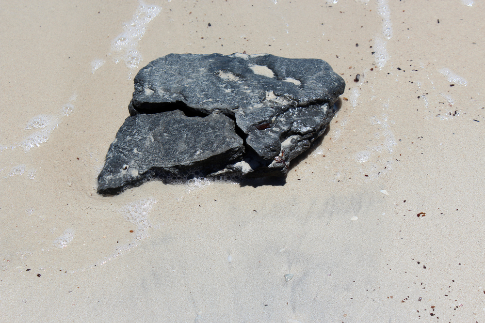Fresh black ambergris washed up on the sandy beach at Hutt's Beach near BUnbury Western Australia after storm in early spring is a perfume fixative from whale intestines.