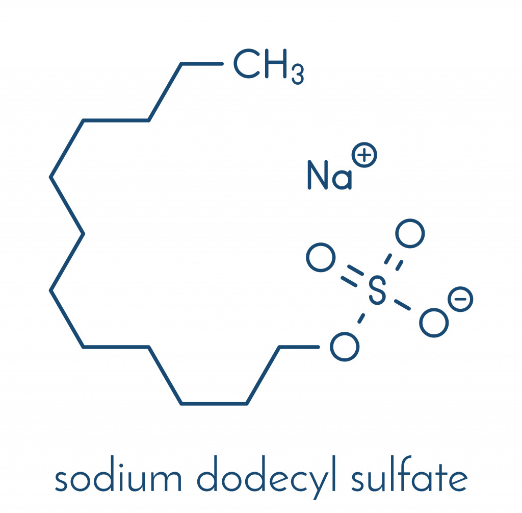 Sodium dodecyl sulfate (SDS, sodium lauryl sulfate) surfactant molecule
