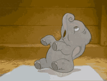 baby elephant sneezing