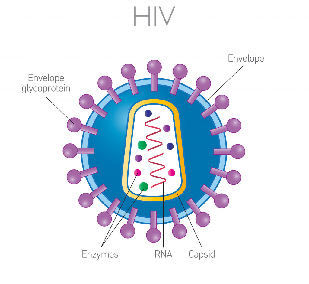 -hiv-aids-caused-by-human