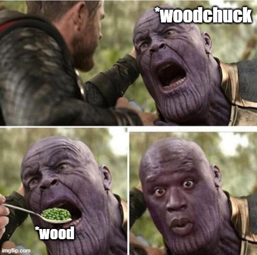 woodchuck meme