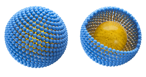 3-D Illustrated colloid structure external view & internal view