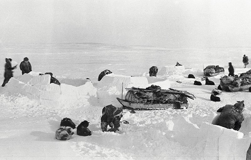 Copper Inuit building igloo village