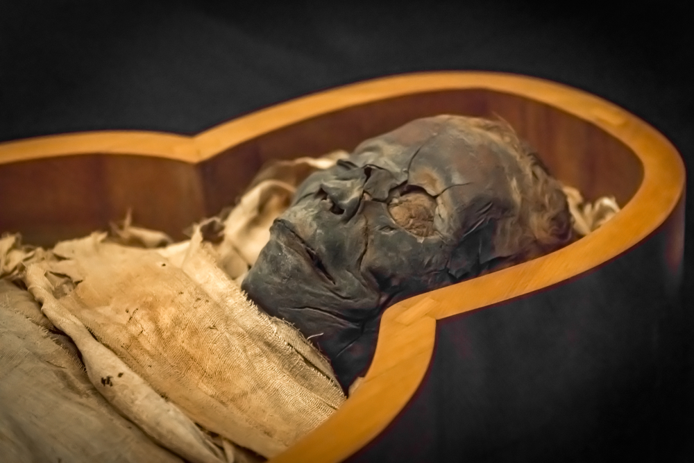 Ancient,Mummy,In,The,Sarcophagus,,Close-up