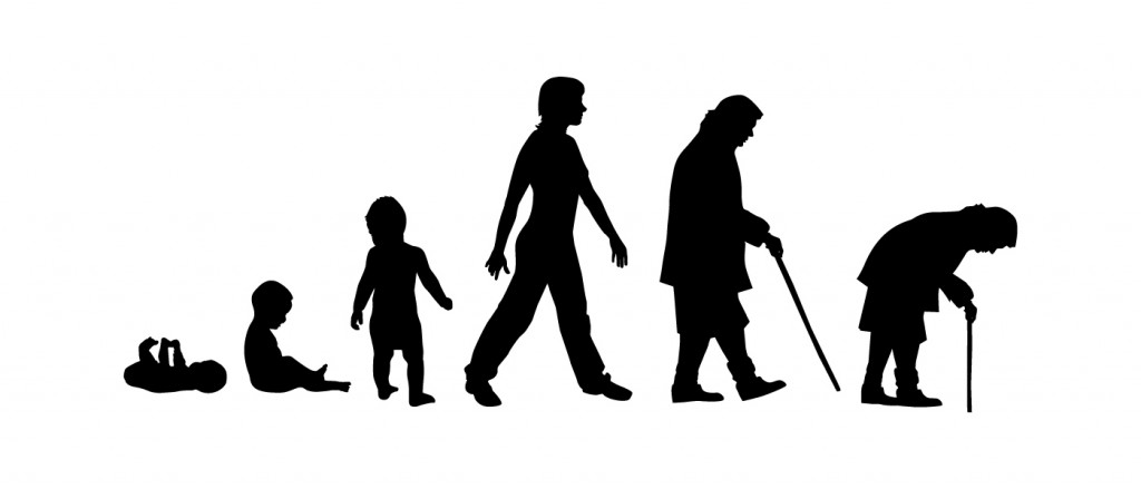 Silhouettes of people. The cycle of life