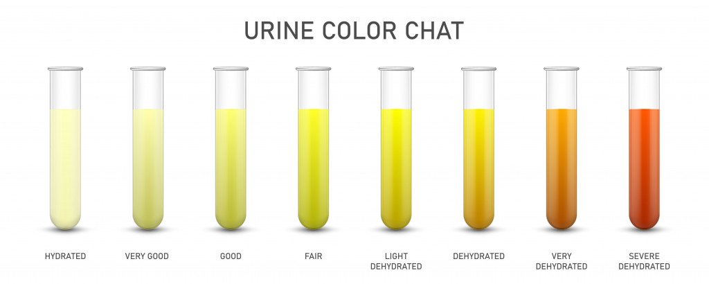 creative-vector-illustration-urine-test-chat