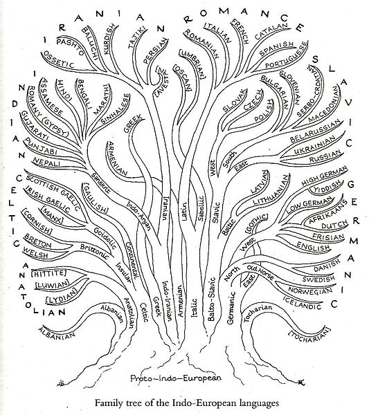 Family tree of the indo-european languages