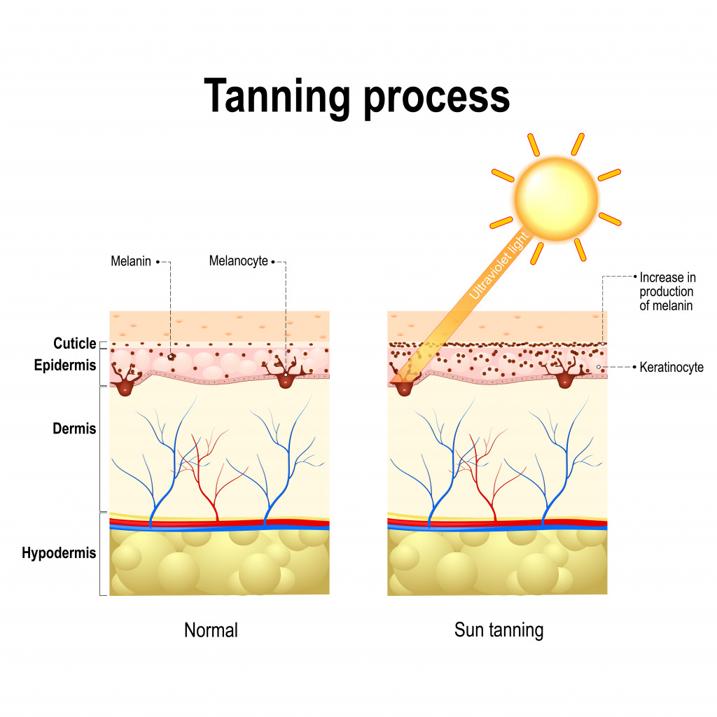 Tanning process