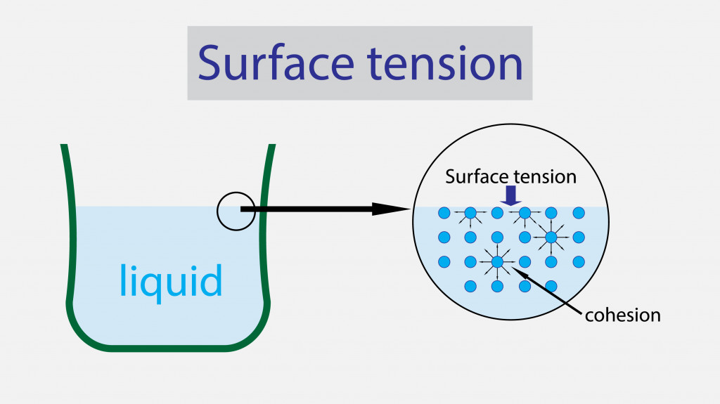 illustration of Physics, Surface tension of liquid diagram