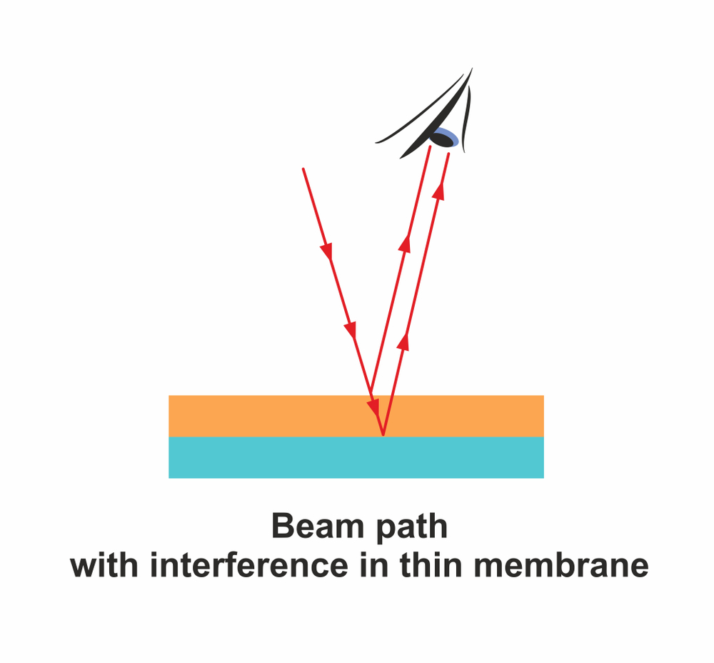 Beam,Path,With,Interference,In,Thin,Film