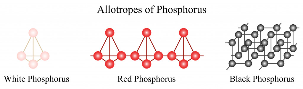 Illustration of chemical. The three main allotropes of phosphorus include the white phosphorus, red phosphorus and black phosphorus.
