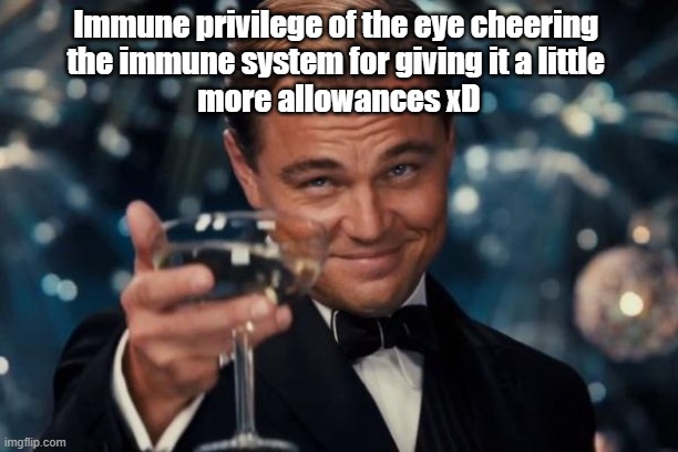 Immune privilege of the eye cheering the immune system for giving it a little more allowances xD