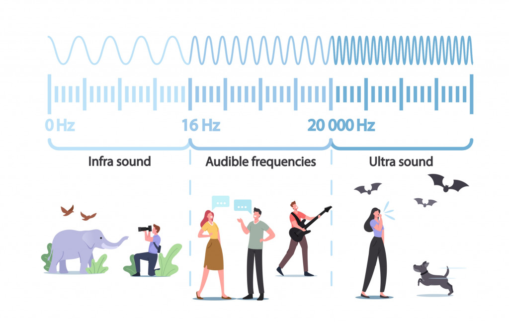 Tiny Characters at Huge Infographics Presenting Sound Waves Amplitude and Pitch