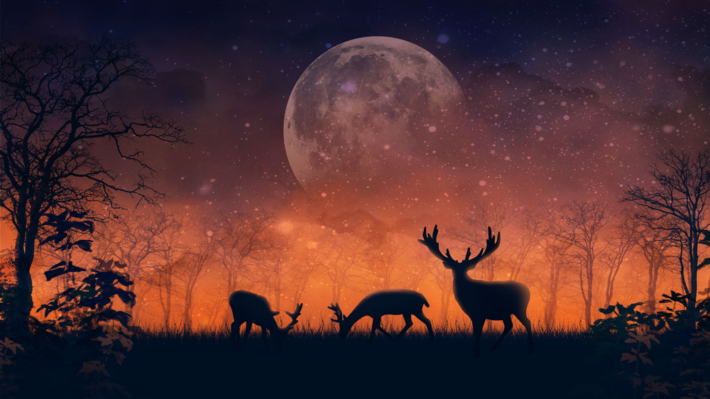 Bright,Fabulous,Landscape,With,Silhouettes,Of,Deer,And,Trees,,Enigmatic