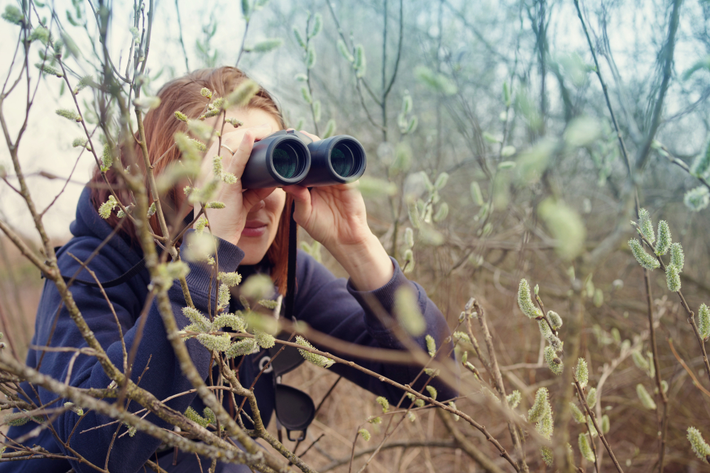 Girl,With,The,Binoculars,Against,The,Background,Of,The,Nature.