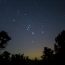 Closeup,Orion,Constellation,On,Night,Starry,Sky,Above,Forest,Silhouette,