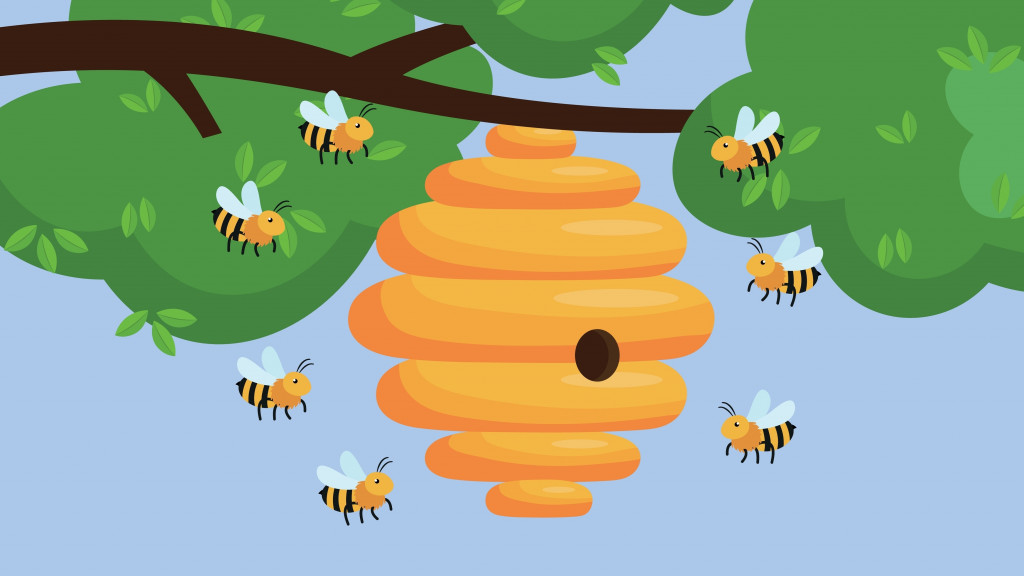 A bee nest hangs on a tree. Bees fly around the hive