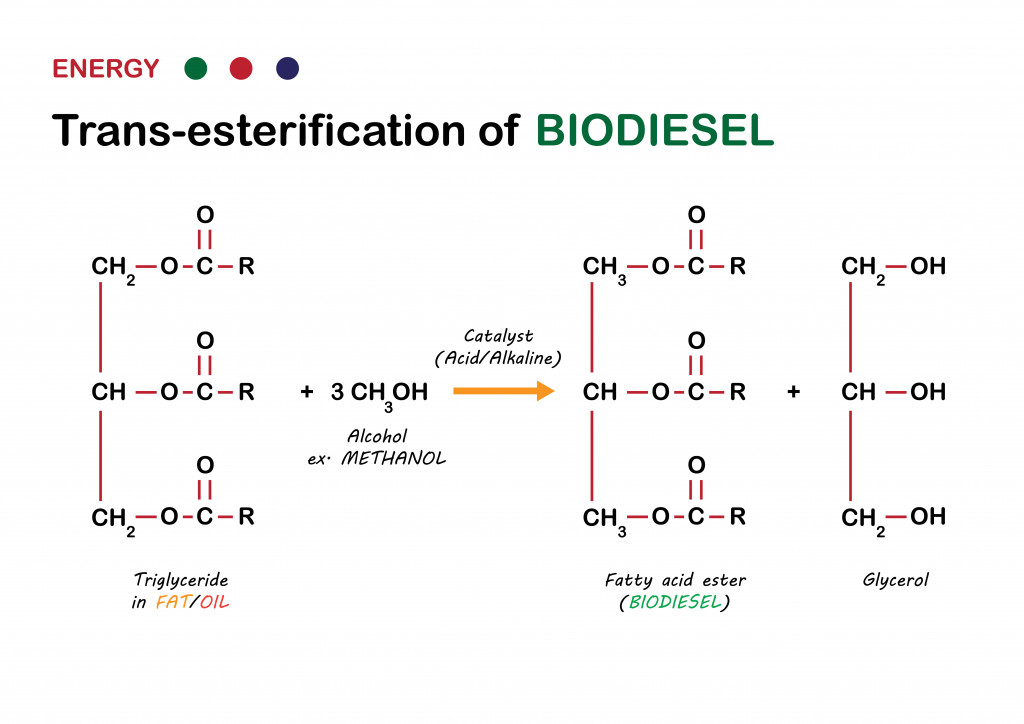 Alternative energy diagram show transesterification reaction from oil to biodiesel in fuel production