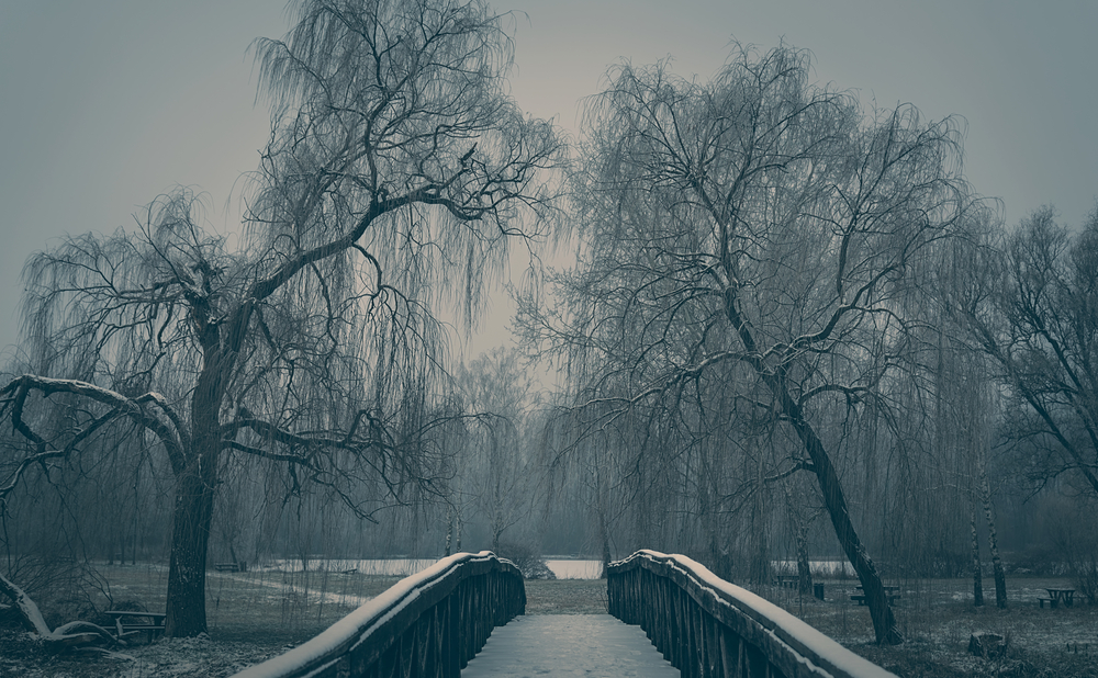 Dramatic,Photo,Of,A,Bridge,A,Winters,Day