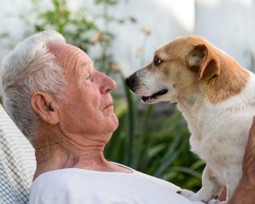 Old,Man,Resting,In,Garden,And,Cute,Dog,Climb,On