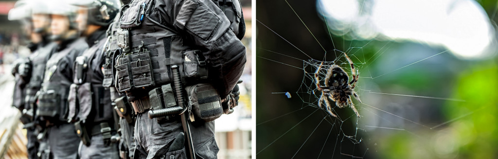 Silk from the Darwin's bark spider is almost comparable to Kevlar, which is commonly used n bullet proof vests