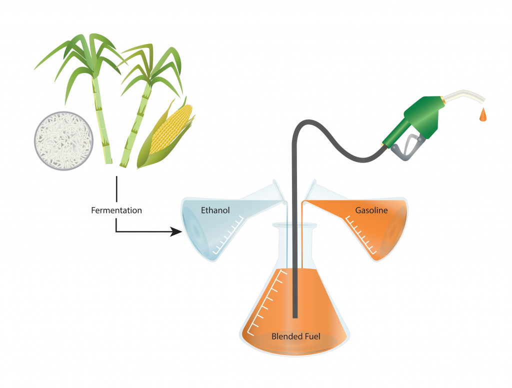 Vector Illustration of Ethanol Blended Fuel