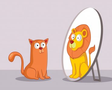 Confident Cat Looking in the Mirror Seeing a Lion