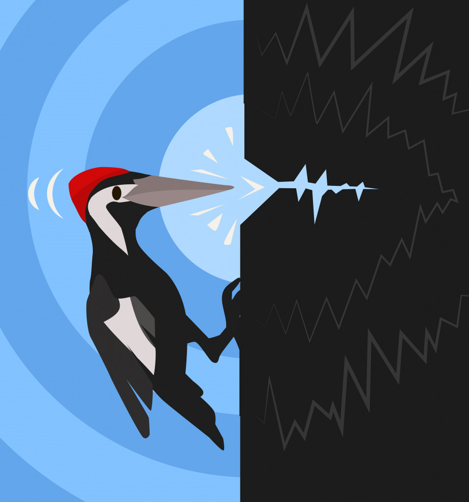 Woodpecker bird perched pecking cartoon color vector illustration, horizontal