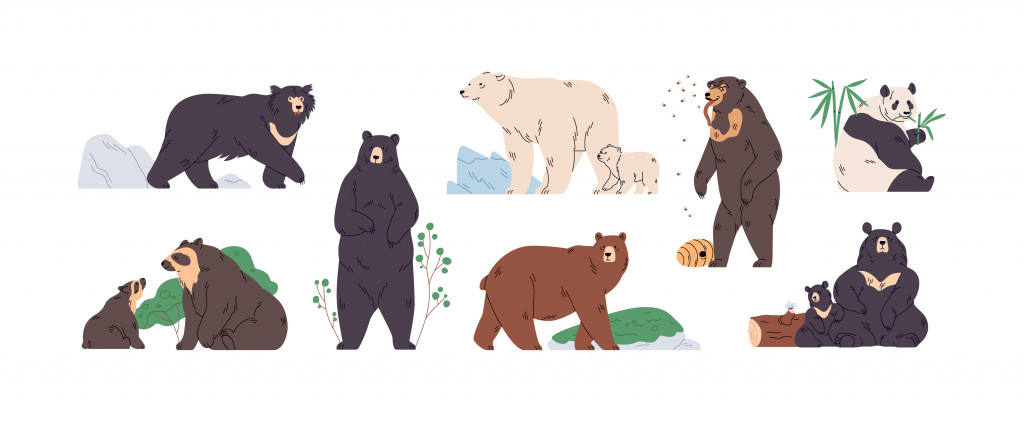 Set of brown, polar, black, Himalayan, Malay, spectacled, honey, sloth bear and panda