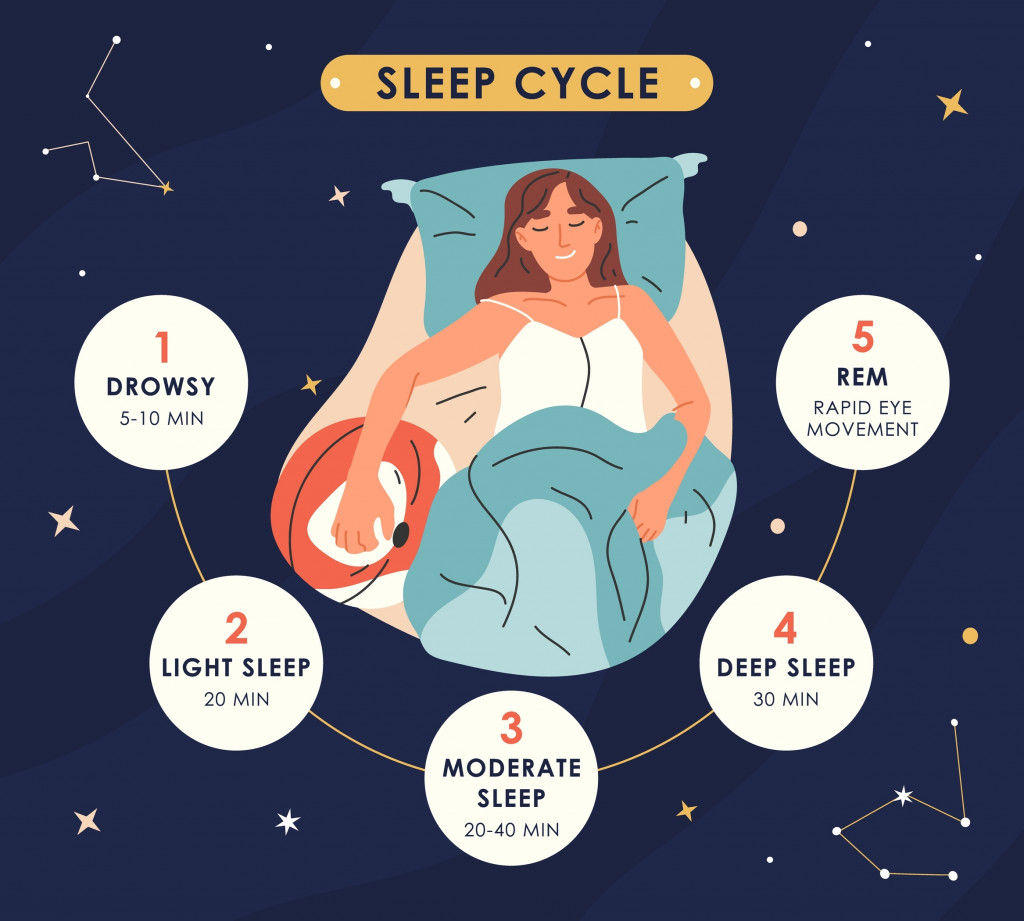 Sleep cycles infographic