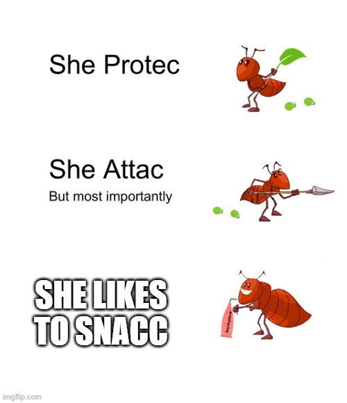 she likes to snacc