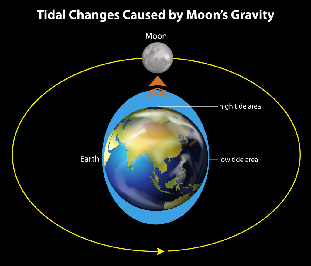An image showing the tidal changes caused by the moon's gravity