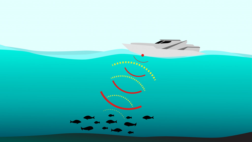 Sonar (Sound navigation and ranging) boat and submarine graphic vector