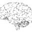 Abstract brain with ants instead of convolutions