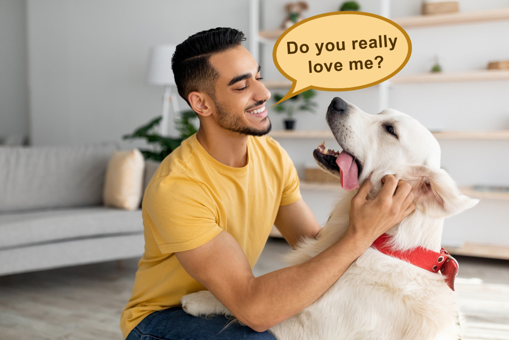 Happy young Arab man stroking his adorable dog in living room. Cheerful millennial Eastern guy playing with his pet at home. Human animal friendship concept