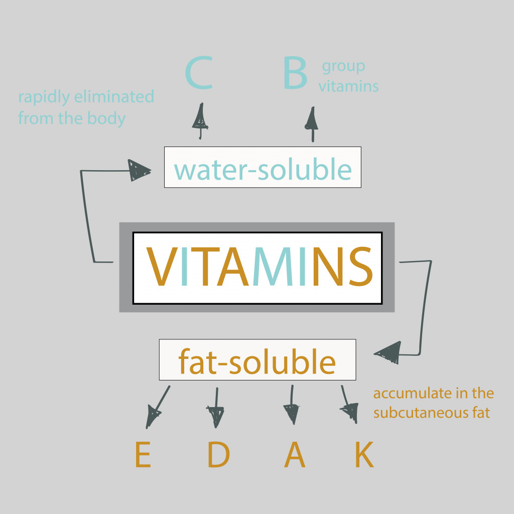 scheme of vitamins necessary for the human
