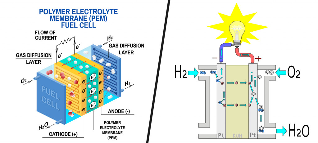 Schematic of a Polymer electrolyte membrane fuel cell