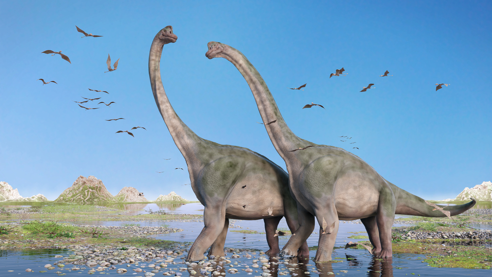 Couple,Of,Brachiosaurus,Altithorax,And,A,Flock,Of,Pterosaurs,In