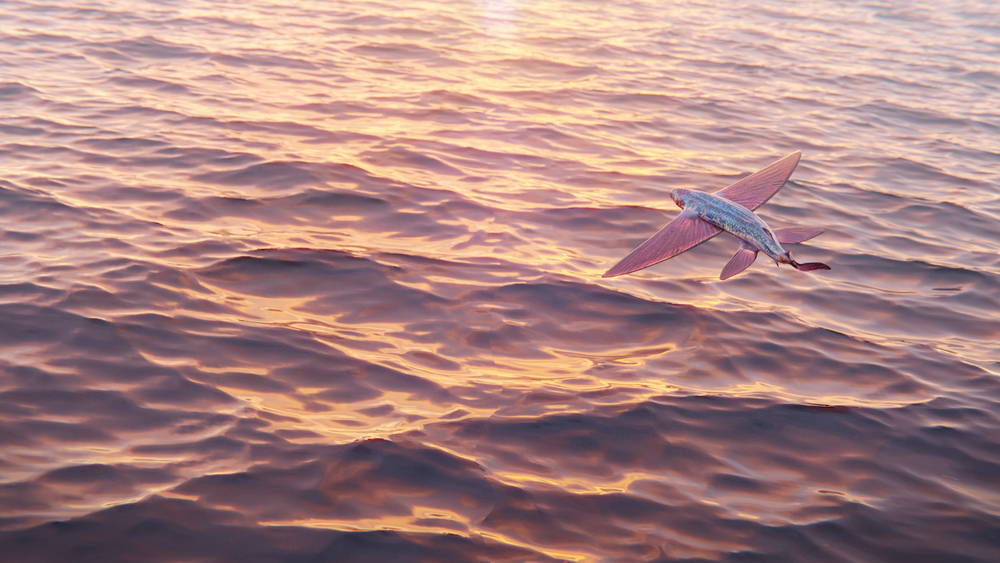 Flying,Fish,During,Sunset,(3d,Rendering)