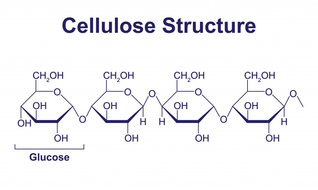 Cellulose Molecule Chemical Structure. Vector Illustration.