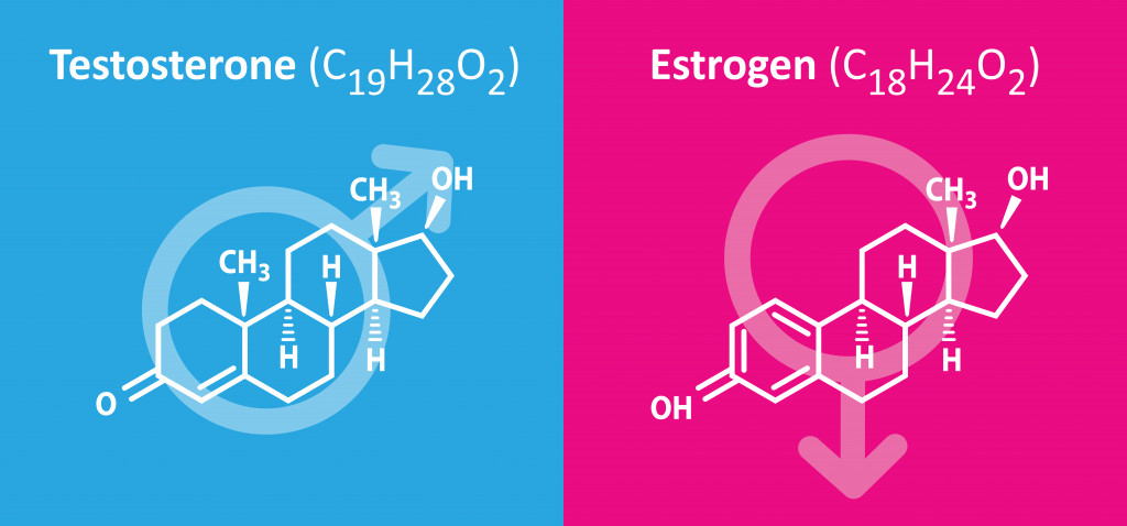 Testosterone Estrogen structure